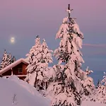 Tatil Evi Hyggelig Blikk - Mountain With Sauna & Access *