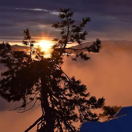 Hyggelig Blikk - Mountain With Sauna & Access *