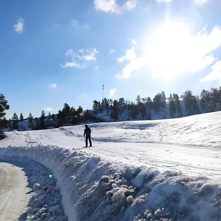 Hyggelig Blikk - Mountain With Sauna & Access * Vradal