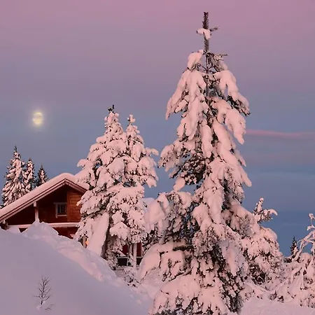 別荘 Hyggelig Blikk - Mountain With Sauna & Access *