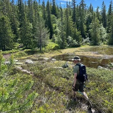 別荘 Hyggelig Blikk - Mountain With Sauna & Access