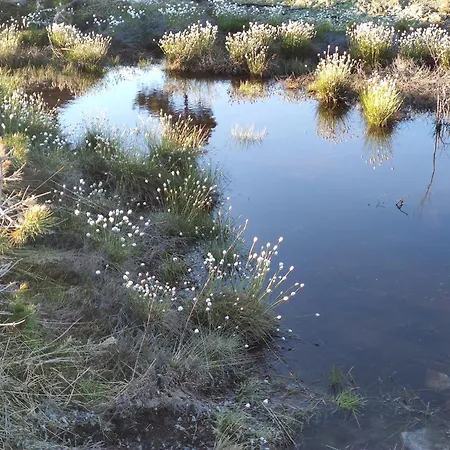 別荘 Hyggelig Blikk - Mountain With Sauna & Access